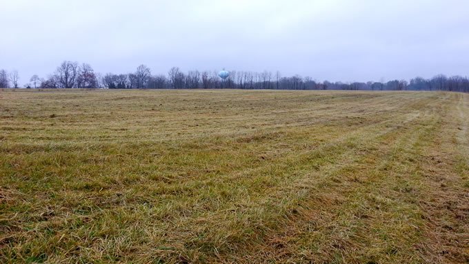 Field-After