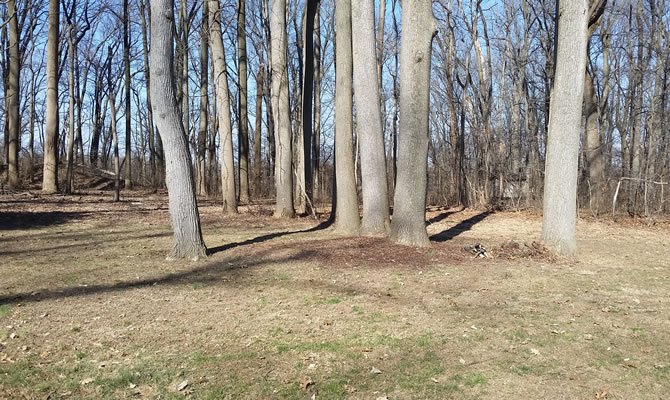 Landscape-Before.jpg Landscape-Before.jpg