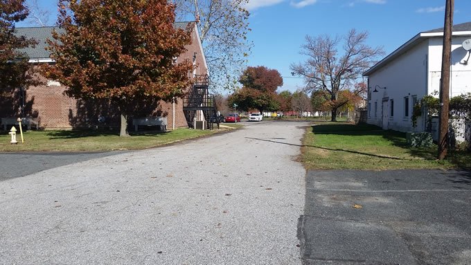 Leaf-Removal-After2