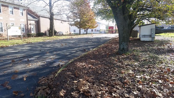 Leaf-Removal-Before1