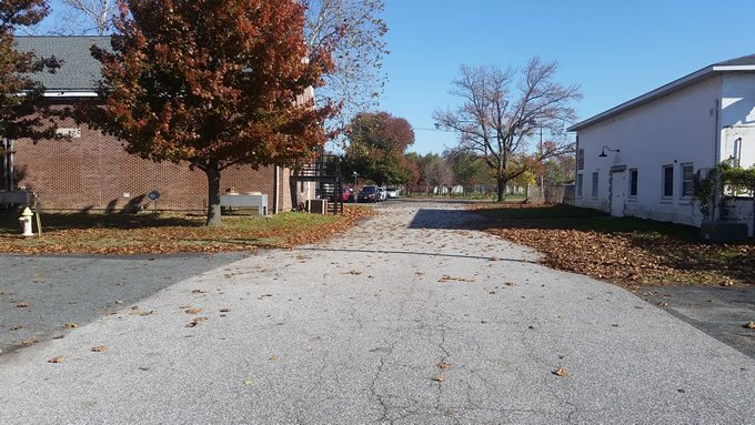 Leaf-Removal-Before2
