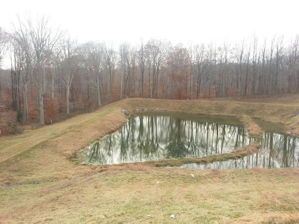 Pond-Mowing-After