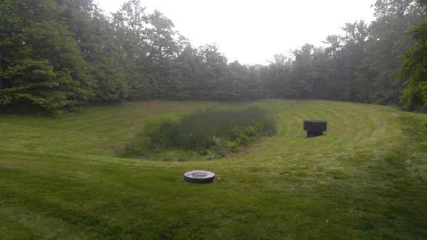 Pond-Mowing-After1