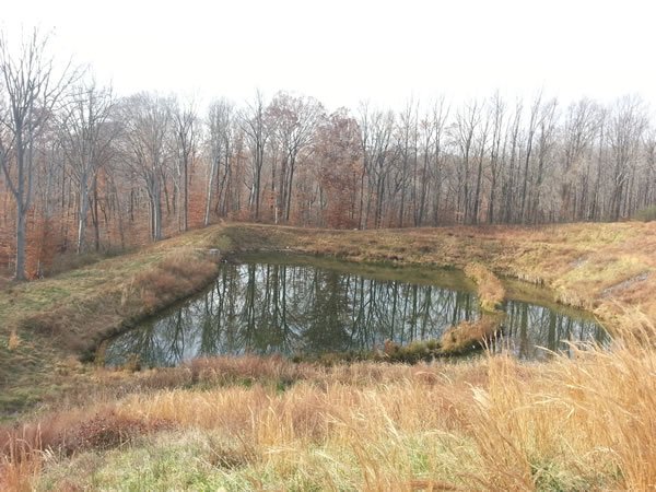Pond-Mowing-Before