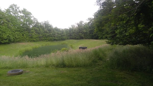 Pond-Mowing-Before1
