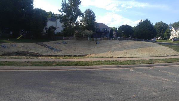 Pond-Restoration-After2