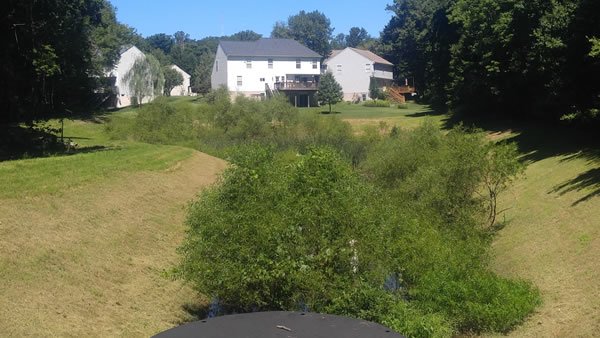Pond-Restoration-Before
