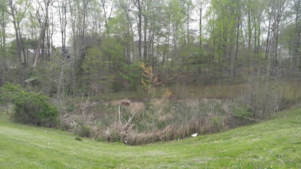 Pond-Restoration-Before1