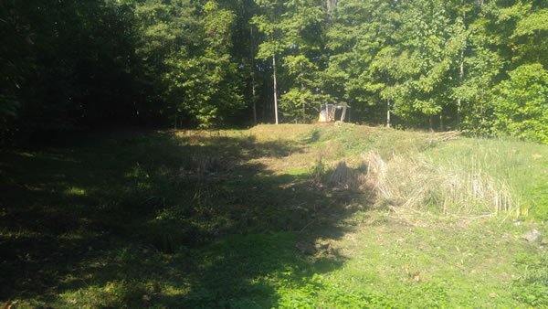 Pond-Restoration-Before5